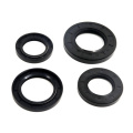 High Temperature NBR FKM Silicone VT Rubber Oil Seal for Hot Pump Valve